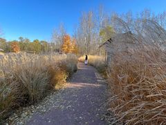 -野鸭湖国家湿地公园