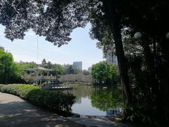 -晓港公园
