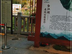 -广州白江湖森林公园