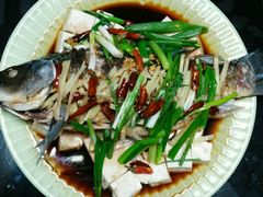 -九多肉多(唐宫路店)