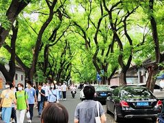 -北京国子监胡同