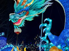 -淄博花灯齐彩城