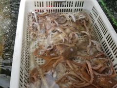 -盒马鲜生(大成店)