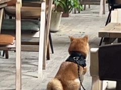 -CHURCH  BISTRO 教堂·餐吧