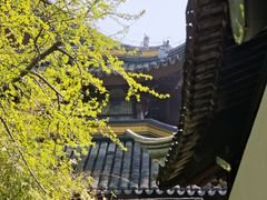 -西园寺素食(西园弄戒幢律寺店)
