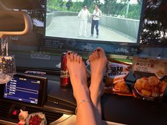 -枫花园汽车电影院(朝阳公园店)