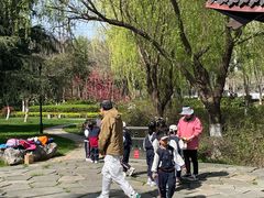 -太子山公园(园东路)