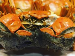 -王宝和酒家(黄浦店)