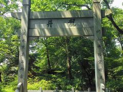 -龙井村