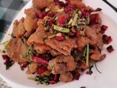 -草根堂农场