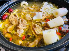 -蘑统田下·野生菌火锅