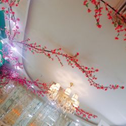 -艺米阳光Hair Salon