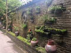 -青城甲(青城山店)