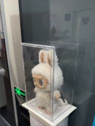 -上海玫瑰医疗美容医院