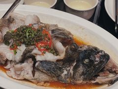 青花椒蒸龙胆鱼-闽和南(深圳万象城店)
