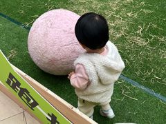 -阳光天地