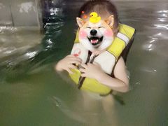 -咸宁万豪温泉谷度假区