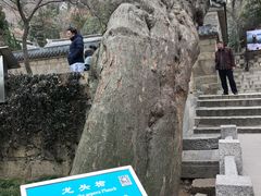-青岛崂山太清宫