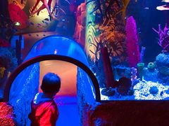 -沈阳海洋探索中心