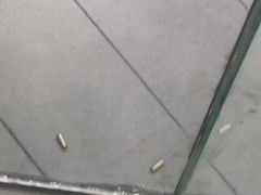 -枪馆1号实弹射击俱乐部