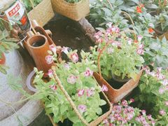 -赵美丽·重庆社区火锅·直营店(火车东站·中豪国际店)