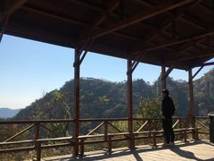 -大岭沟猕猴桃谷风景区