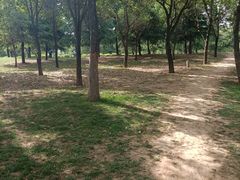 -洨河生态公园