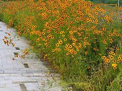 -白塘生态植物园