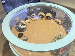 -上海怡沁园度假酒店