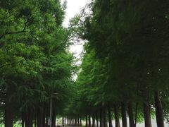 -石湖景区