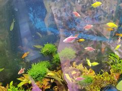 -国家植物园(地铁站)