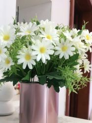 -F.N冻龄皮肤管理中心