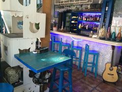 海妖酒吧-Sirena海妖日咖夜酒