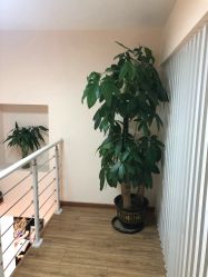 -悦色美甲美睫·精品