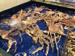 -高佳庄·舟山海鲜(海景旗舰店)