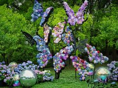 -上海共青森林公园