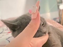 -客栈猫舍(中央北路店)