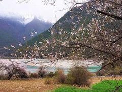 iphone_upload_pic-罗布林卡