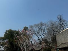 -长春观