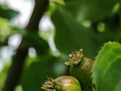 -龙潭大峡谷自然风景区
