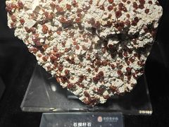 -中华赏石园