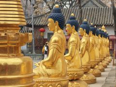 -护国法轮寺