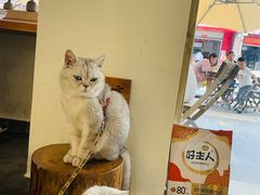 -冰拾叁(新都店)