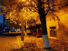 -四川大学(华西校区)