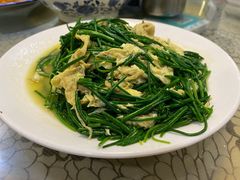 沙葱炒蛋-范记靖远羊羔肉(博物馆店)