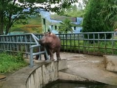 -西安秦岭野生动物园