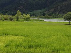 -泸沽湖国家级风景名胜区走婚桥