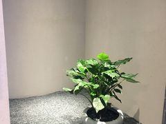 -常乐·对症推拿(解放碑英利大融城店)