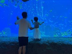-南昌融创海世界
