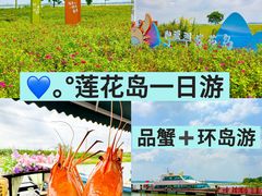 -小陆莲花蟹园农家乐(莲花岛店)